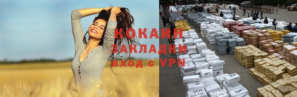 стафф Ладушкин