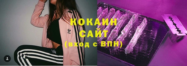 стафф Ладушкин
