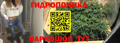 PSILOCYBIN Гусь-Хрустальный