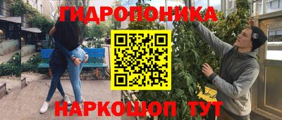 крисы Гусев