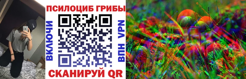 наркота Магадан Псилоцибиновые грибы прущие грибы
