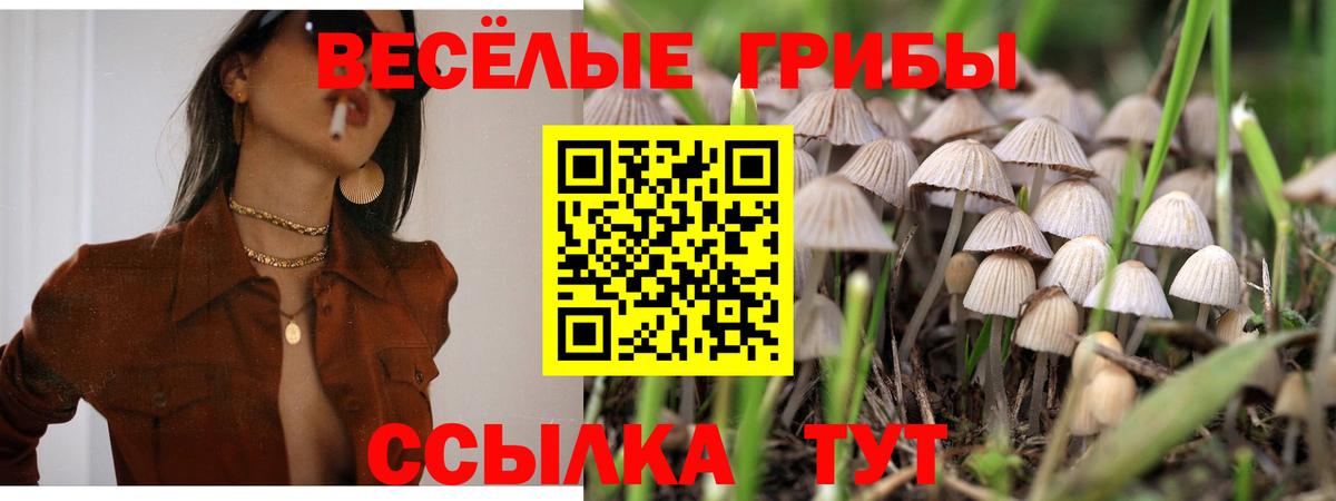 Магадан  Псилоцибиновые грибы прущие грибы  цена наркотик  Вход с VPN 
