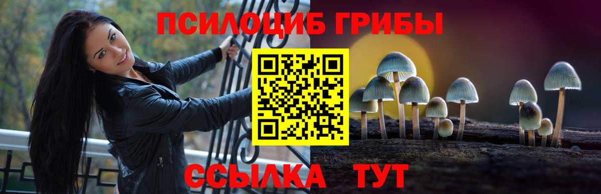Псилоцибиновые грибы ЛСД  даркнет сайт  Магадан 