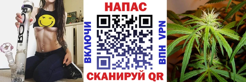 Шишки марихуана THC 21%  закладка  Магадан 